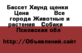 Бассет Хаунд щенки › Цена ­ 20 000 - Все города Животные и растения » Собаки   . Псковская обл.